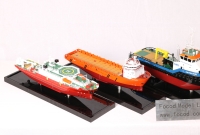 customized model of five 40cm ship models